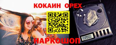 гидропоника Пенза