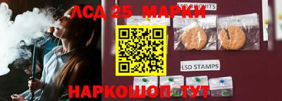 гидропоника Пенза