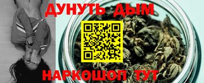 гидропоника Пенза