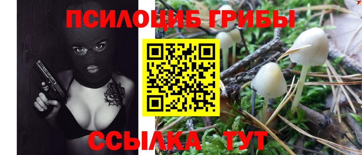 Псилоцибиновые грибы Psilocybine cubensis Старая Купавна